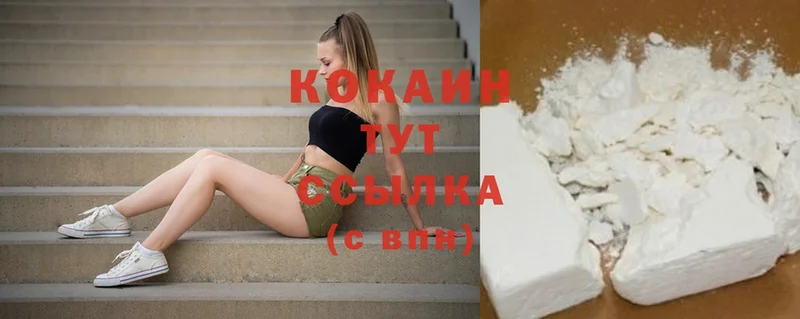 Cocaine Fish Scale  купить наркотик  KRAKEN зеркало  Лыткарино 